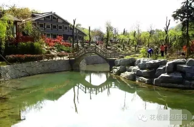 這個周末，隴南康縣花橋有大事要發(fā)生？