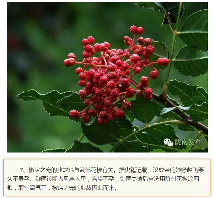 蘭渝鐵路最早由孫中山先生提出？在隴南，你不知道的事兒還有……