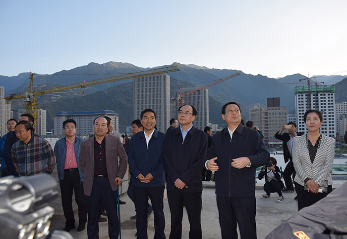 全國(guó)、省市政協(xié)委員體驗(yàn)蘭渝鐵路、視察階州廣場(chǎng)