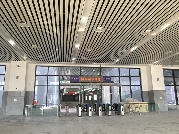 全國(guó)、省市政協(xié)委員體驗(yàn)蘭渝鐵路、視察階州廣場(chǎng)