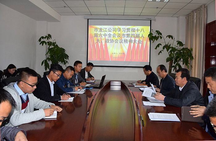 市龍江公司召開(kāi)全體員工大會(huì)，專題傳達(dá)學(xué)習(xí)上級(jí)會(huì)議精神