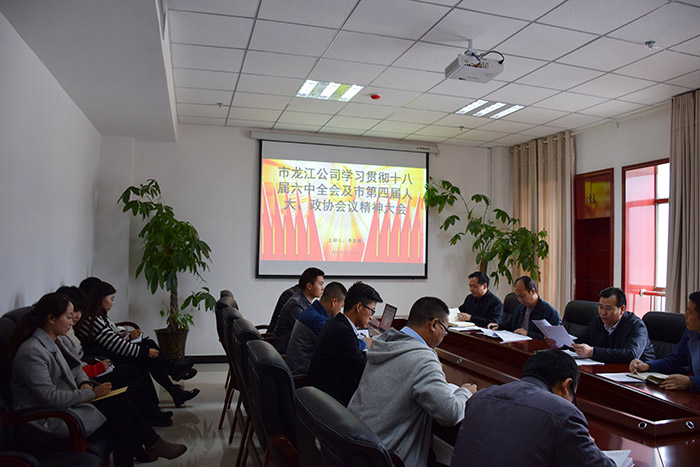 市龍江公司召開(kāi)全體員工大會(huì)，專題傳達(dá)學(xué)習(xí)上級(jí)會(huì)議精神