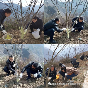 市龍江集團在文縣橋頭鎮(zhèn)安子坡村開展“解難題、辦實事、送溫暖”活動