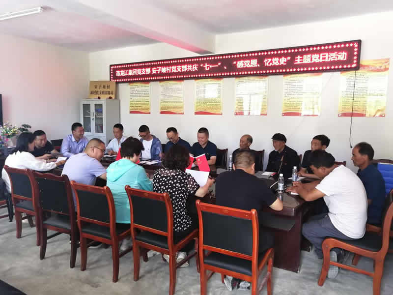 “感黨恩、憶黨史”，--市龍江城鄉(xiāng)發(fā)展集團(tuán)公司開展慶祝建黨99周年主題黨日活動