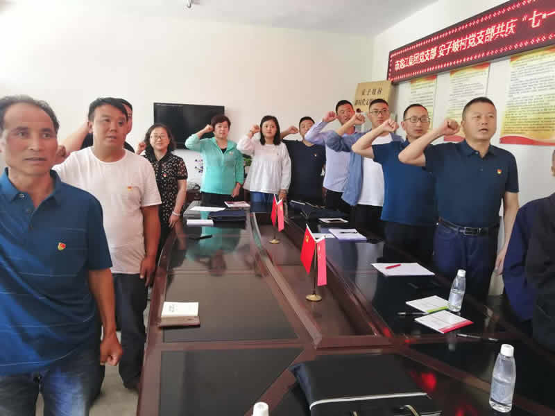 “感黨恩、憶黨史”，--市龍江城鄉(xiāng)發(fā)展集團(tuán)公司開展慶祝建黨99周年主題黨日活動