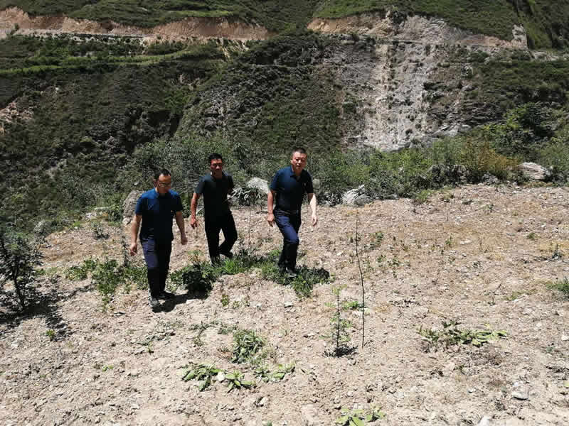 “感黨恩、憶黨史”，--市龍江城鄉(xiāng)發(fā)展集團(tuán)公司開展慶祝建黨99周年主題黨日活動